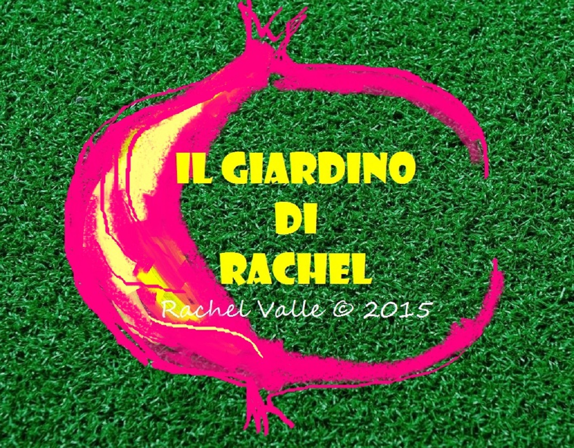 logo Rachel