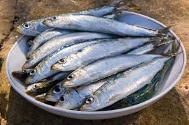 sarde 1