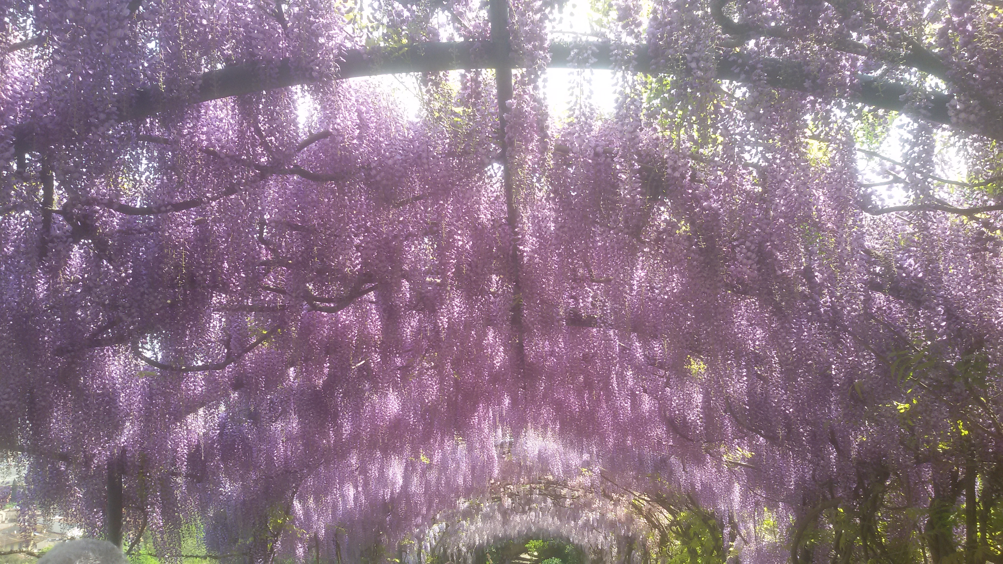 20170412_114012