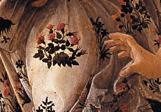 primavera1